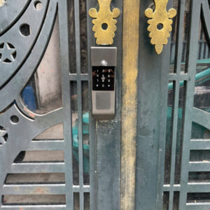 Khoá Vân Tay Cửa Cổng 2 chiều TTLOCK TLGA103