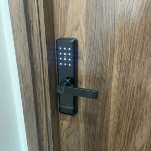 Khoá Vân Tay Cửa Gỗ TTLOCK S30B