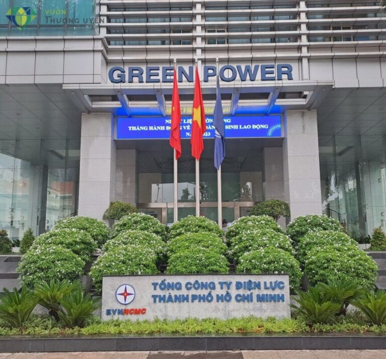 khóa vân tay tại tphcm